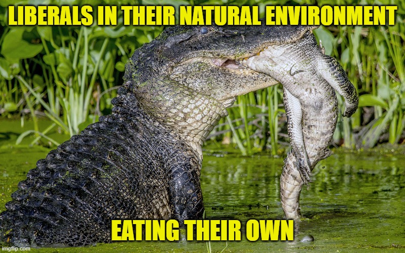 Its the way of Nature | LIBERALS IN THEIR NATURAL ENVIRONMENT; EATING THEIR OWN | image tagged in democrats,liberals,fjb,cnn,maga,make america great again | made w/ Imgflip meme maker