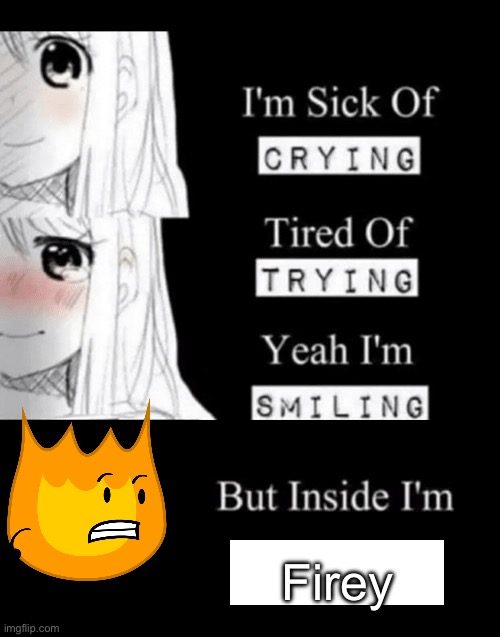 I'm Sick Of Crying | Firey | image tagged in i'm sick of crying,firey bfdi | made w/ Imgflip meme maker
