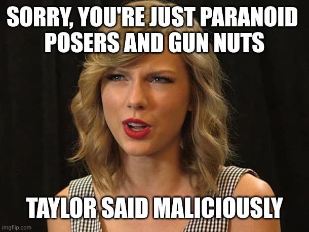 Taylor said maliciously | SORRY, YOU'RE JUST PARANOID 
POSERS AND GUN NUTS; TAYLOR SAID MALICIOUSLY | image tagged in taylor swiftie | made w/ Imgflip meme maker