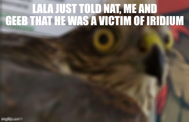 shocked bird | LALA JUST TOLD NAT, ME AND GEEB THAT HE WAS A VICTIM OF IRIDIUM | image tagged in shocked bird | made w/ Imgflip meme maker