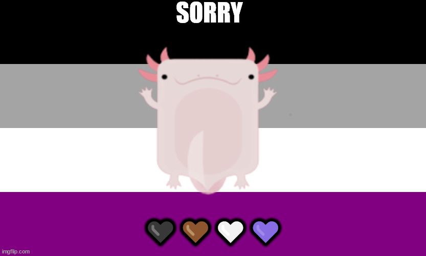Asexual Flag | SORRY; 🖤🤎🤍💜 | made w/ Imgflip meme maker