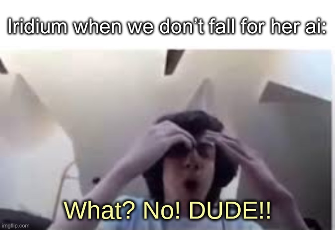 What? No! DUDE!! | Iridium when we don’t fall for her ai: | image tagged in what no dude | made w/ Imgflip meme maker