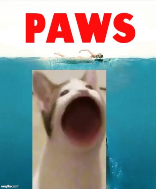 Sp3x_ paws | image tagged in sp3x_ paws | made w/ Imgflip meme maker