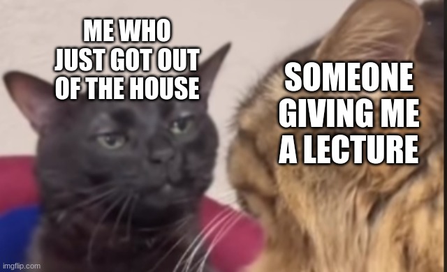 yes | ME WHO JUST GOT OUT OF THE HOUSE; SOMEONE GIVING ME A LECTURE | image tagged in black cat zoning out | made w/ Imgflip meme maker