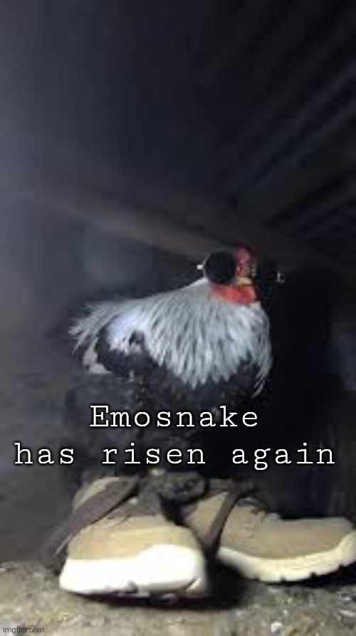 Drip chicken Sp3x_ | Emosnake has risen again | image tagged in drip chicken sp3x_ | made w/ Imgflip meme maker