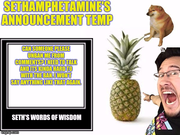 Seth's announcement temp | CAN SOMEONE PLEASE UNBAN ME FROM COMMENTS? I NEED TO TALK AND ITS KINDA HARD TO WITH THE BAN. I WON'T SAY ANYTHING LIKE THAT AGAIN. | image tagged in seth's announcement temp | made w/ Imgflip meme maker