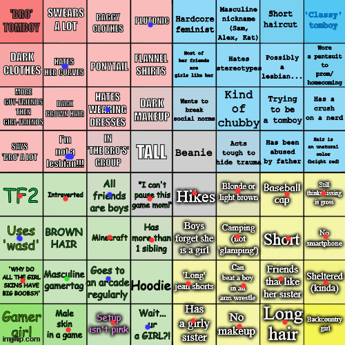 This thing took a while. | image tagged in the tomboy bingo | made w/ Imgflip meme maker