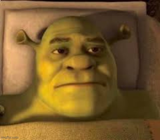 It's been nearly a year since the Saucekuum.. | image tagged in shrek disappointed,msmg | made w/ Imgflip meme maker