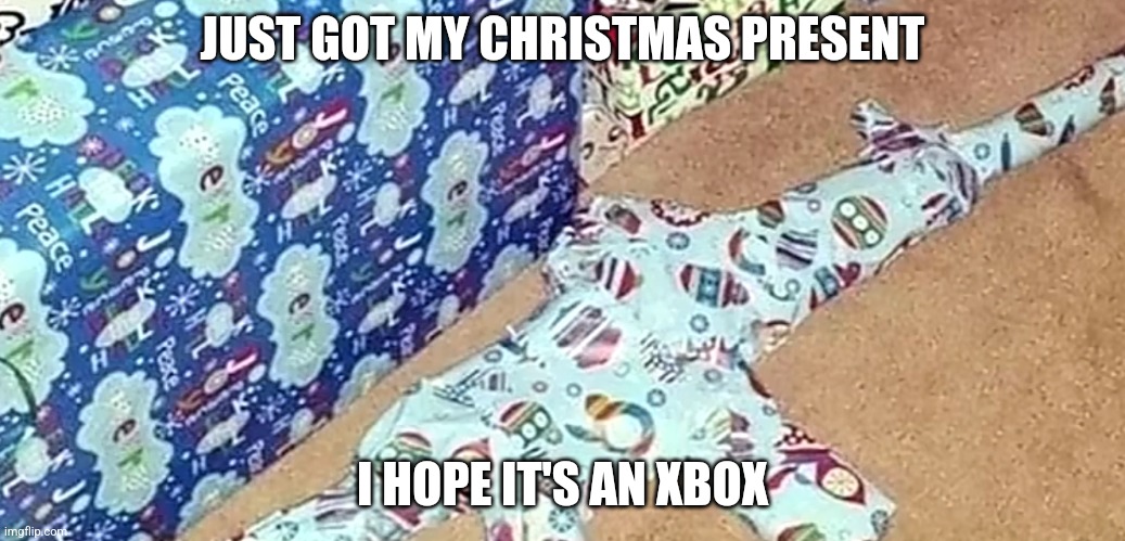 Image Title | JUST GOT MY CHRISTMAS PRESENT; I HOPE IT'S AN XBOX | image tagged in lol,guns,xbox,why are you reading the tags,stop reading the tags | made w/ Imgflip meme maker