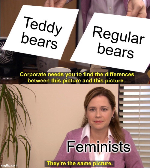 They're The Same Picture | Teddy bears; Regular bears; Feminists | image tagged in memes,they're the same picture | made w/ Imgflip meme maker
