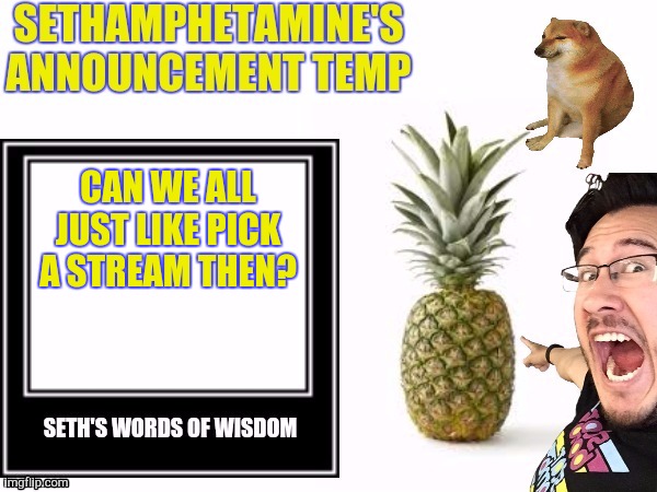 Seth's announcement temp | CAN WE ALL JUST LIKE PICK A STREAM THEN? | image tagged in seth's announcement temp | made w/ Imgflip meme maker