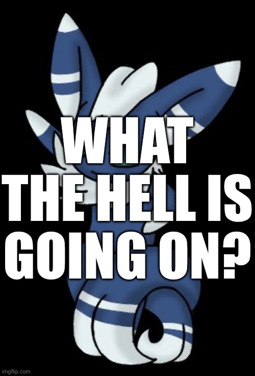 What did I miss? | WHAT THE HELL IS GOING ON? | image tagged in meowstic | made w/ Imgflip meme maker