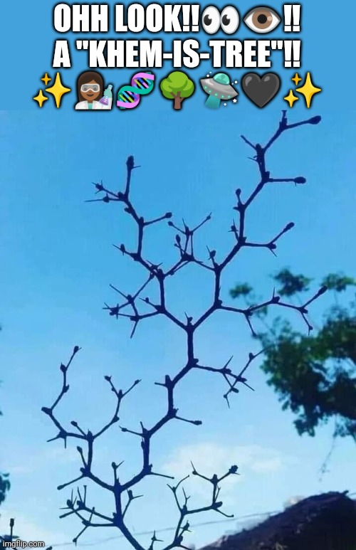 Khemist Tree??? | OHH LOOK!!👀👁️‼️
A "KHEM-IS-TREE"‼️
✨👩🏾‍🔬🧬🌳🛸🖤✨ | image tagged in chemistry | made w/ Imgflip meme maker