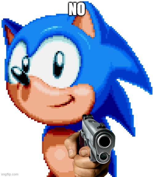 sonic with a gun | NO | image tagged in sonic with a gun | made w/ Imgflip meme maker