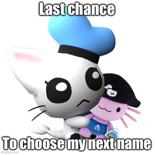 Phin | Last chance; To choose my next name | image tagged in phin | made w/ Imgflip meme maker