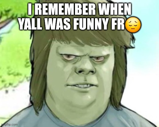 My mom | I REMEMBER WHEN YALL WAS FUNNY FR😔 | image tagged in my mom | made w/ Imgflip meme maker