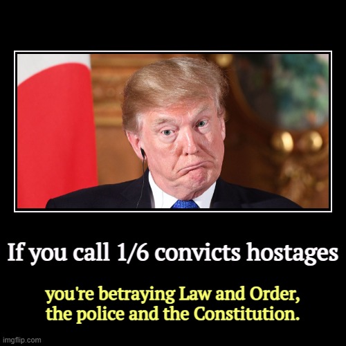 If you call 1/6 convicts hostages | you're betraying Law and Order, the police and the Constitution. | image tagged in funny,demotivationals,trump,coup,riots,constitution | made w/ Imgflip demotivational maker