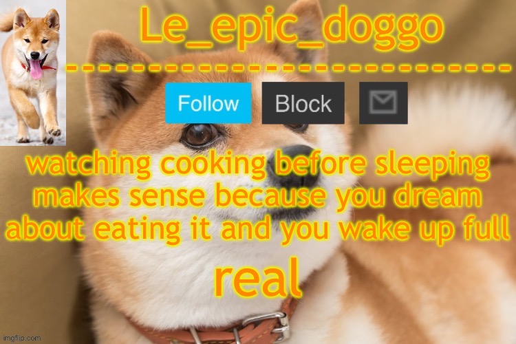 epic doggo's temp back in old fashion | watching cooking before sleeping makes sense because you dream about eating it and you wake up full; real | image tagged in epic doggo's temp back in old fashion | made w/ Imgflip meme maker