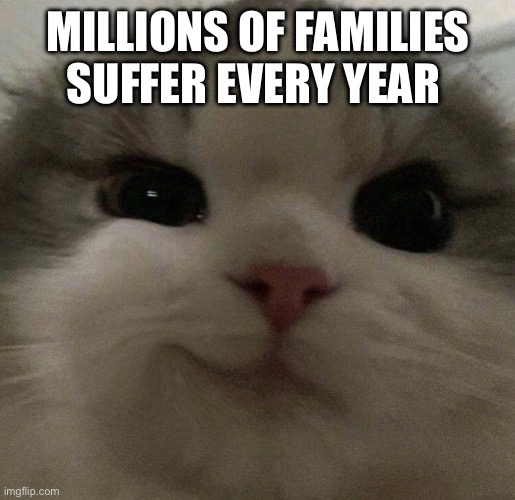 Smirky cat | MILLIONS OF FAMILIES SUFFER EVERY YEAR | image tagged in smirky cat | made w/ Imgflip meme maker