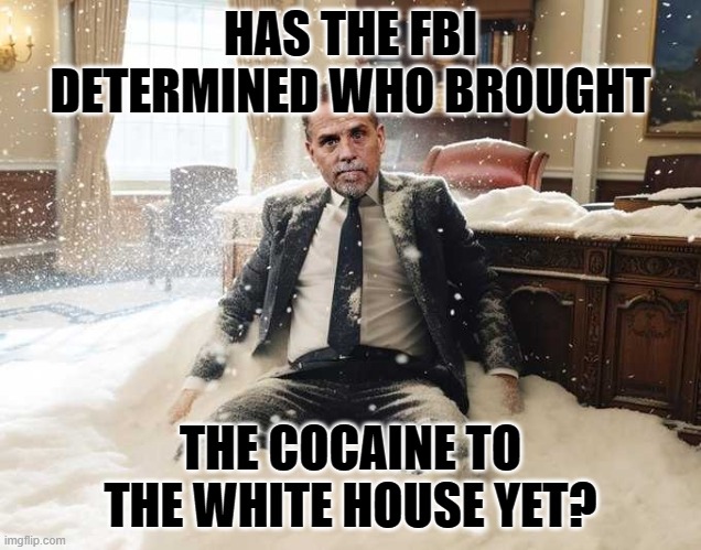 I just can't figure it out | HAS THE FBI DETERMINED WHO BROUGHT; THE COCAINE TO THE WHITE HOUSE YET? | image tagged in hunter biden,cocaine,creepy joe biden | made w/ Imgflip meme maker