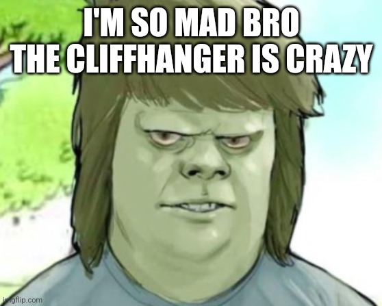 My mom | I'M SO MAD BRO THE CLIFFHANGER IS CRAZY | image tagged in my mom | made w/ Imgflip meme maker