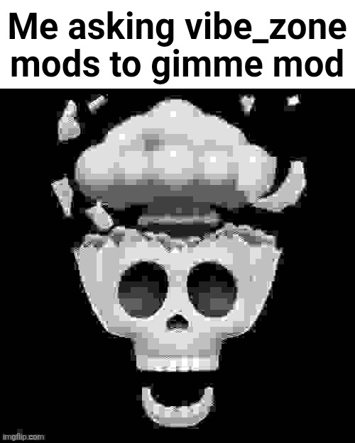 I request for mod there | its alr if you don't want to | Me asking vibe_zone mods to gimme mod | made w/ Imgflip meme maker