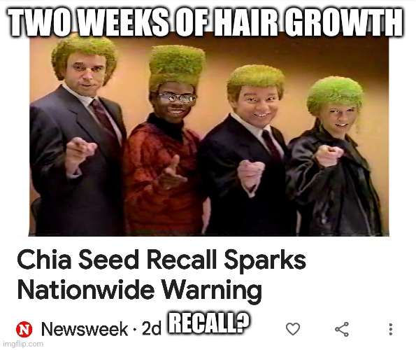 Chia seed conspiracy | TWO WEEKS OF HAIR GROWTH; RECALL? | image tagged in snl,chia seeds,recall | made w/ Imgflip meme maker