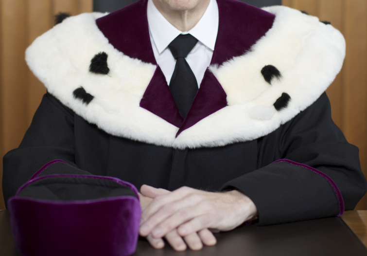 High Quality Judge robe Blank Meme Template