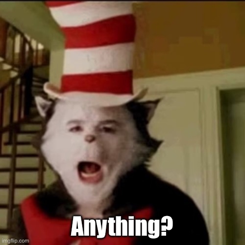 Cat in the Hat | Anything? | image tagged in cat in the hat | made w/ Imgflip meme maker