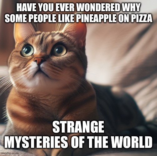 Strange mysteries pineapple on pizza | HAVE YOU EVER WONDERED WHY SOME PEOPLE LIKE PINEAPPLE ON PIZZA; STRANGE MYSTERIES OF THE WORLD | image tagged in strange mysteries of the world cat | made w/ Imgflip meme maker
