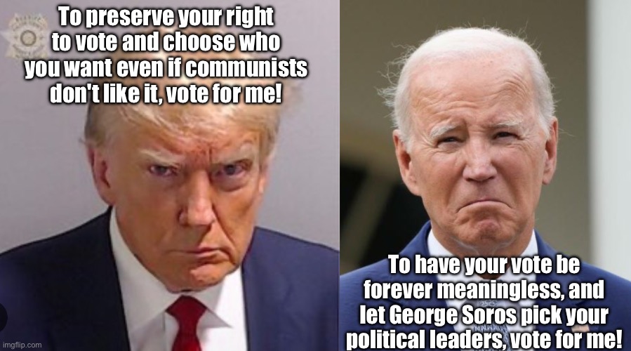 The choice to be able to choose | To preserve your right to vote and choose who you want even if communists don't like it, vote for me! To have your vote be forever meaningless, and let George Soros pick your political leaders, vote for me! | image tagged in sad joe biden,trump | made w/ Imgflip meme maker