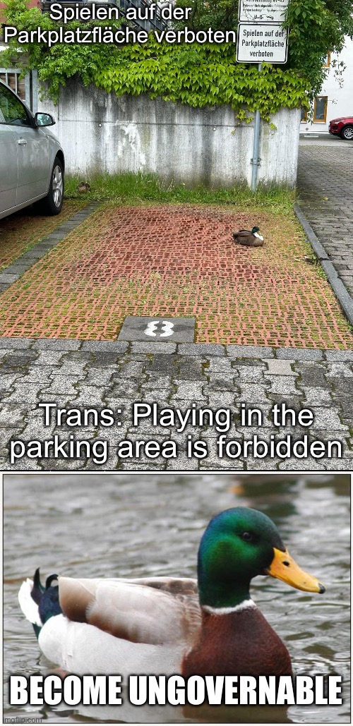 Duck does not obey | Spielen auf der Parkplatzfläche verboten; Trans: Playing in the parking area is forbidden; BECOME UNGOVERNABLE | image tagged in memes,actual advice mallard,duck | made w/ Imgflip meme maker