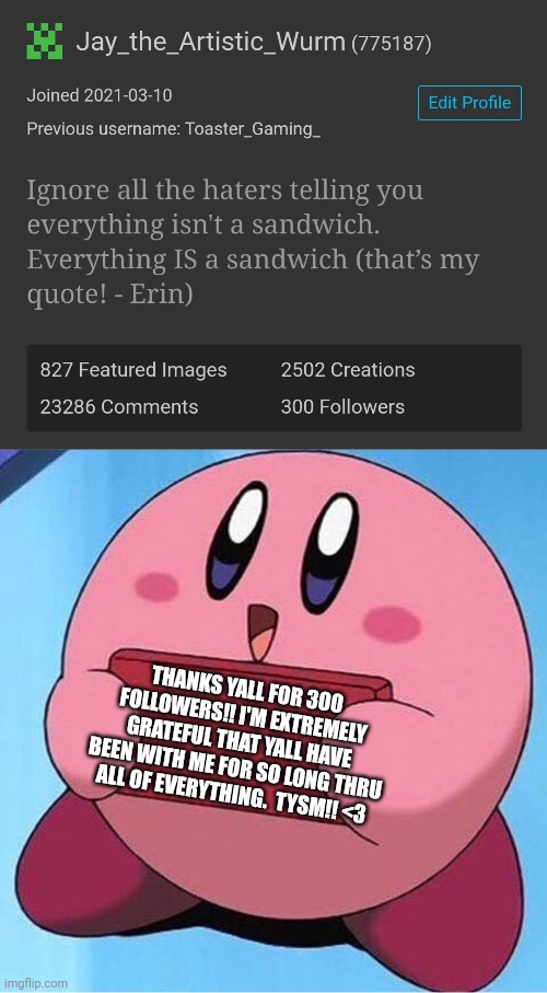 Shoutout to all of yall | THANKS YALL FOR 300 FOLLOWERS!! I'M EXTREMELY GRATEFUL THAT YALL HAVE BEEN WITH ME FOR SO LONG THRU ALL OF EVERYTHING.  TYSM!! <3 | image tagged in kirby holding a sign | made w/ Imgflip meme maker