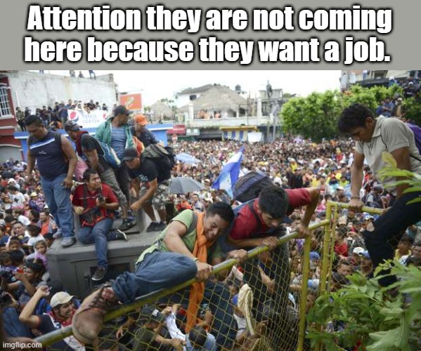 Attention they are not coming here because they want a job. | made w/ Imgflip meme maker