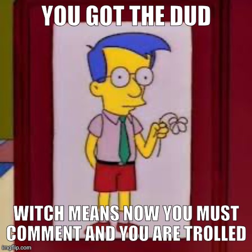 Use this image | YOU GOT THE DUD; WITCH MEANS NOW YOU MUST COMMENT AND YOU ARE TROLLED | image tagged in you got the dud | made w/ Imgflip meme maker
