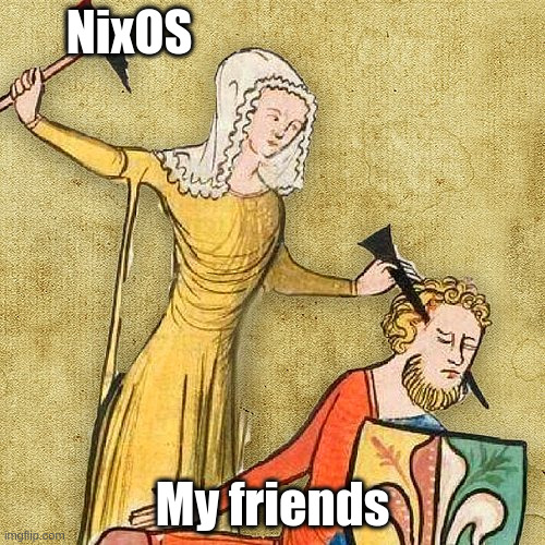 nixos | NixOS; My friends | image tagged in painful middle ages | made w/ Imgflip meme maker