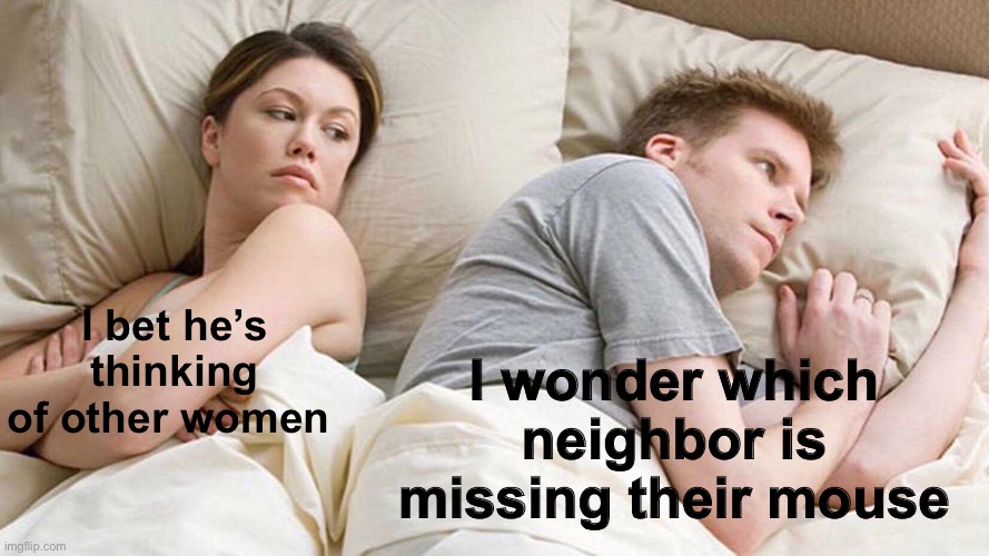I Bet He's Thinking About Other Women Meme | I bet he’s thinking of other women I wonder which neighbor is missing their mouse | image tagged in memes,i bet he's thinking about other women | made w/ Imgflip meme maker