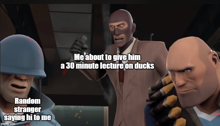 Infodumps be like | Me about to give him a 30 minute lecture on ducks; Random stranger saying hi to me | image tagged in meet the spy | made w/ Imgflip meme maker