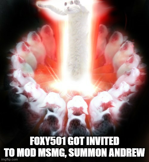 HURRY | FOXY501 GOT INVITED TO MOD MSMG, SUMMON ANDREW | image tagged in cat ritual summons cat god 2 | made w/ Imgflip meme maker