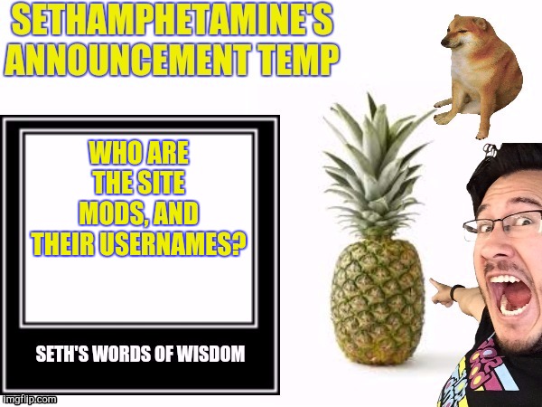 Seth's announcement temp | WHO ARE THE SITE MODS, AND THEIR USERNAMES? | image tagged in seth's announcement temp | made w/ Imgflip meme maker