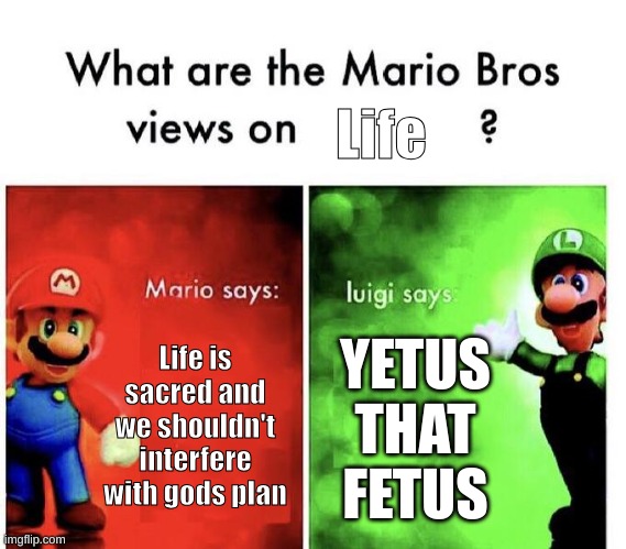 luigi is so relatable | Life; Life is sacred and we shouldn't interfere with gods plan; YETUS THAT FETUS | image tagged in mario bros views | made w/ Imgflip meme maker