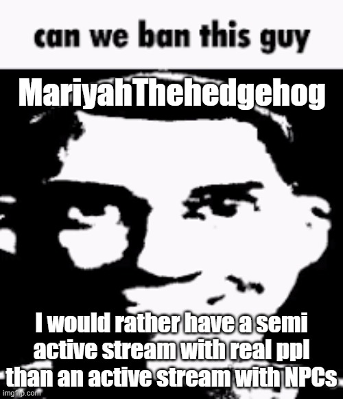 /hj | MariyahThehedgehog; I would rather have a semi active stream with real ppl than an active stream with NPCs | image tagged in can we ban this guy | made w/ Imgflip meme maker