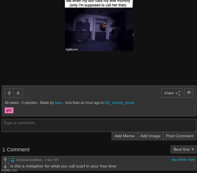 made w/ Imgflip meme maker