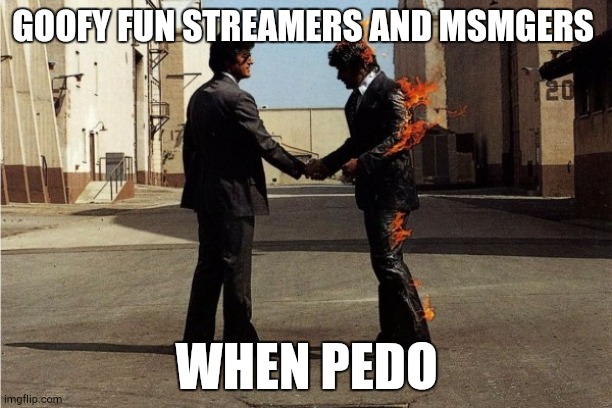 Pink Floyd | GOOFY FUN STREAMERS AND MSMGERS; WHEN PEDO | image tagged in pink floyd | made w/ Imgflip meme maker