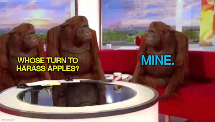 Weekly meeting of Politics mods | MINE. WHOSE TURN TO HARASS APPLES? | image tagged in where monkey | made w/ Imgflip meme maker