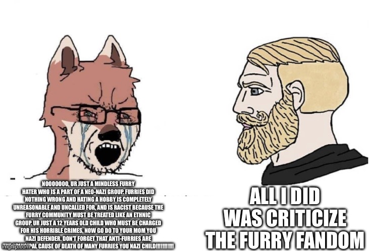 POV: you try arguing with a furry | ALL I DID WAS CRITICIZE THE FURRY FANDOM; NOOOOOOO, UR JUST A MINDLESS FURRY HATER WHO IS A PART OF A NEO-NAZI GROUP. FURRIES DID NOTHING WRONG AND HATING A HOBBY IS COMPLETELY UNREASONABLE AND UNCALLED FOR, AND IS RACIST BECAUSE THE FURRY COMMUNITY MUST BE TREATED LIKE AN ETHNIC GROUP. UR JUST A 12 YEARS OLD CHILD WHO MUST BE CHARGED FOR HIS HORRIBLE CRIMES, NOW GO DO TO YOUR MOM YOU NAZI DEFENDER. DON'T FORGET THAT ANTI-FURRIES ARE THE PRINCIPAL CAUSE OF DEATH OF MANY FURRIES YOU NAZI CHILD!!!!!!!!!!! | image tagged in soyboy vs yes chad,furry,anti furry,argument | made w/ Imgflip meme maker