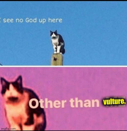 I see no god up here | vulture. | image tagged in i see no god up here | made w/ Imgflip meme maker