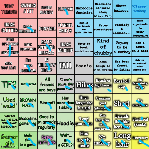 I am def more of the gamer grill | image tagged in the tomboy bingo | made w/ Imgflip meme maker