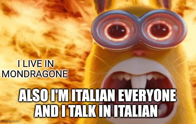 No | I LIVE IN MONDRAGONE; ALSO I'M ITALIAN EVERYONE AND I TALK IN ITALIAN | image tagged in minion rabbit screaming | made w/ Imgflip meme maker