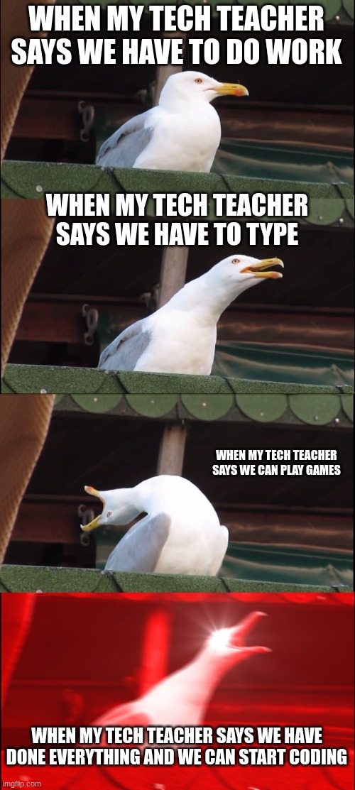 Uhhhh.... | WHEN MY TECH TEACHER SAYS WE HAVE TO DO WORK; WHEN MY TECH TEACHER SAYS WE HAVE TO TYPE; WHEN MY TECH TEACHER SAYS WE CAN PLAY GAMES; WHEN MY TECH TEACHER SAYS WE HAVE DONE EVERYTHING AND WE CAN START CODING | image tagged in memes,inhaling seagull | made w/ Imgflip meme maker